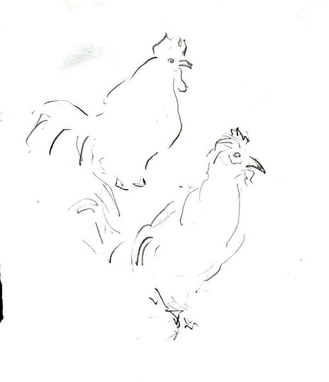 Aves