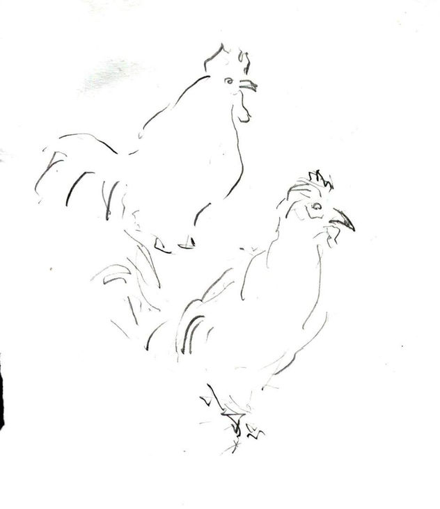 aves