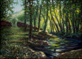 Luz en el bosque - Light in the Forest