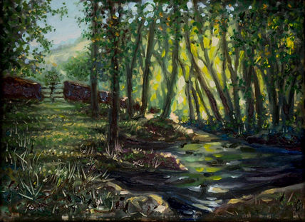 Luz en el bosque -...