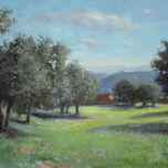 Naturalista - Naturalis thumbnail 2