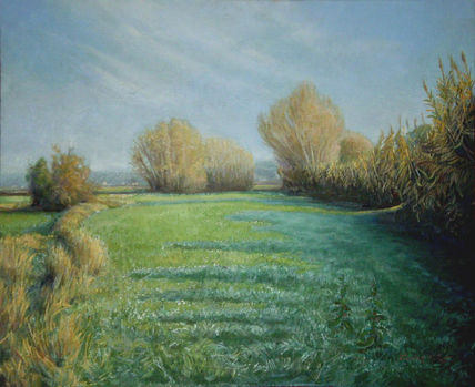 Prado verde - Green...