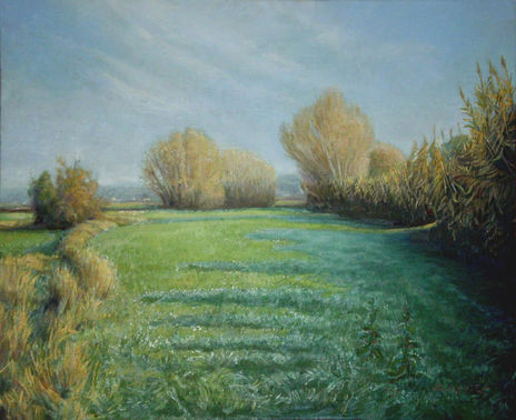 Prado verde - Green...