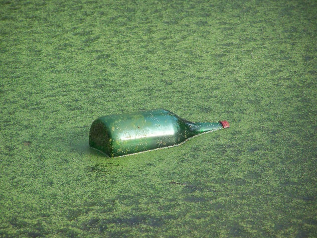 Botella entre hielo verde