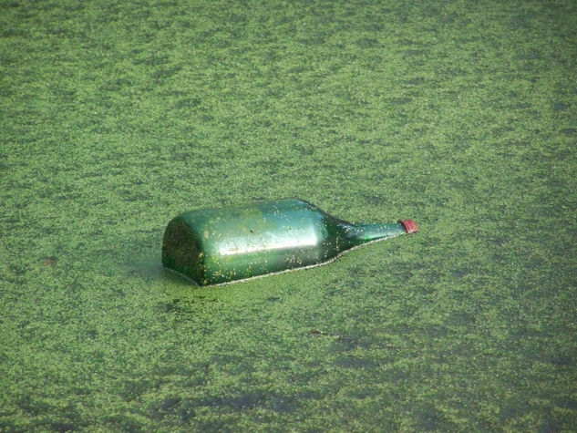 Botella entre hielo verde Nature Color (Digital)