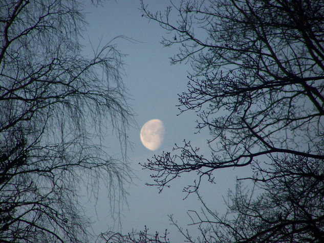 Luna de día Nature Color (Digital)