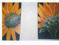 LOS GIRASOLES