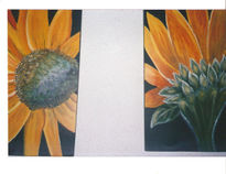 Los girasoles