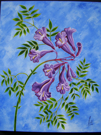 Jacarandá