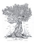 el arbol de la vida