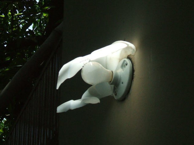 ANGEL DE LUZ 2