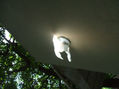 ANGEL DE LUZ 3