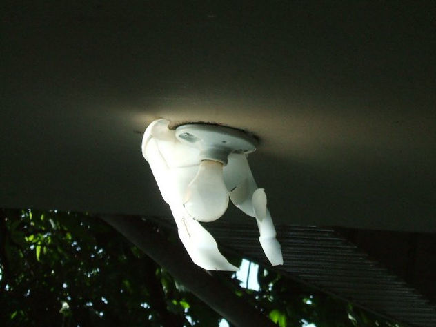 ANGEL DE LUZ 1