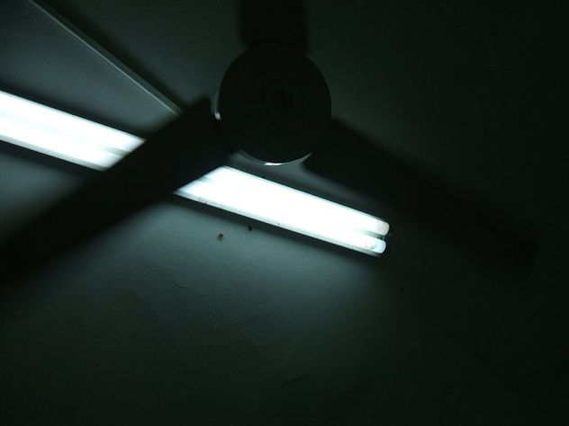 THE LIGHT