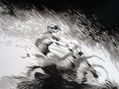 Motocross II