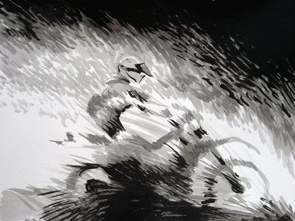 Motocross II