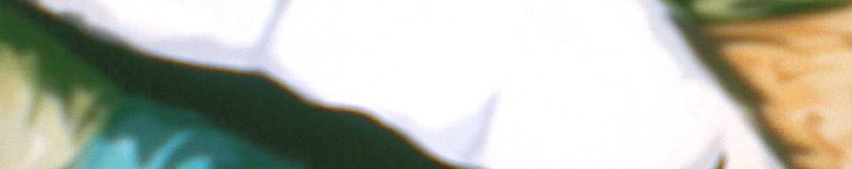 Imagen de portada