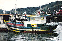 barco-Brasil