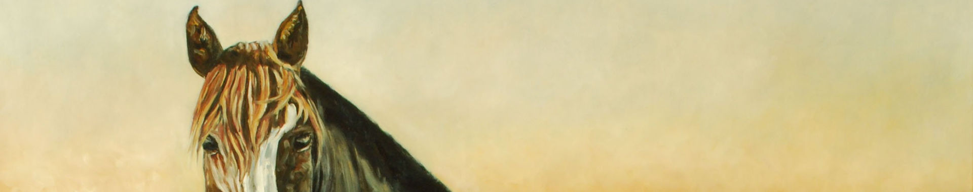 Imagen de portada
