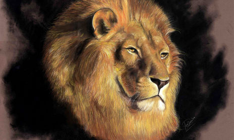 Fauna