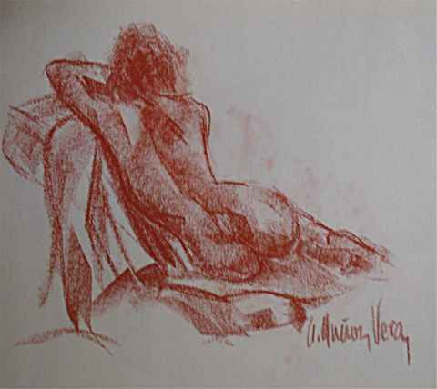 Desnudo 20 Charcoal