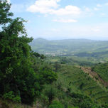 NATURALEZA thumbnail 2