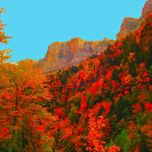 otoño 2007 thumbnail 1