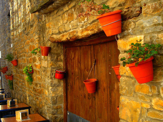 el patio de los geranios 