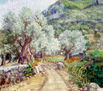 olivos del camino