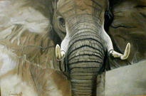 Africa ,elefante