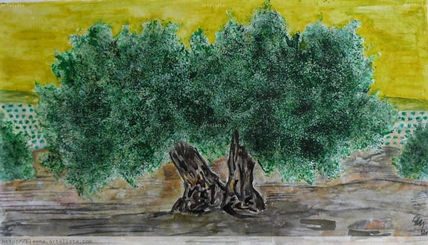 Olivos de jaén vii