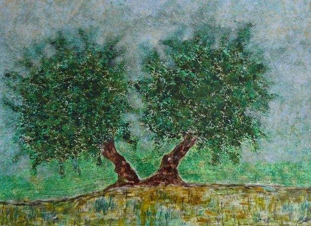 OLIVOS DE JAÉN IX Acrylic Card Landscaping