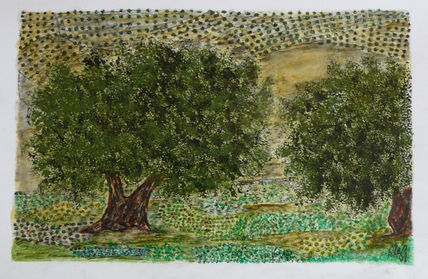 Olivos de jaén xi