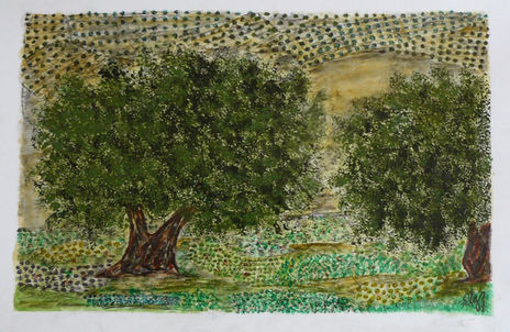 Olivos de jaén xi