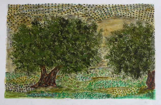 OLIVOS DE JAÉN XI