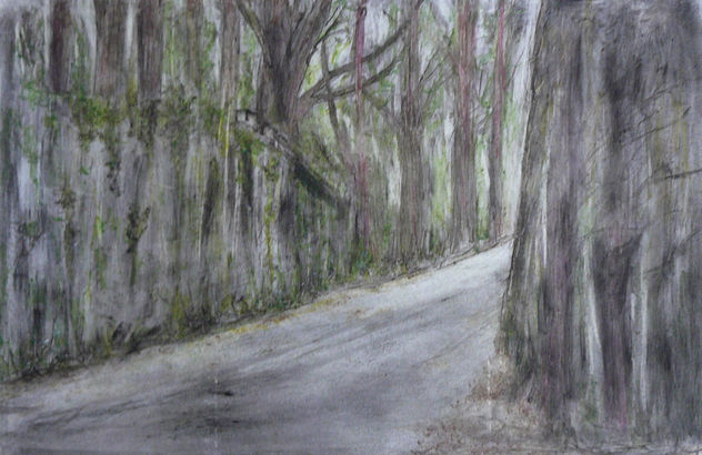 CAMINOS