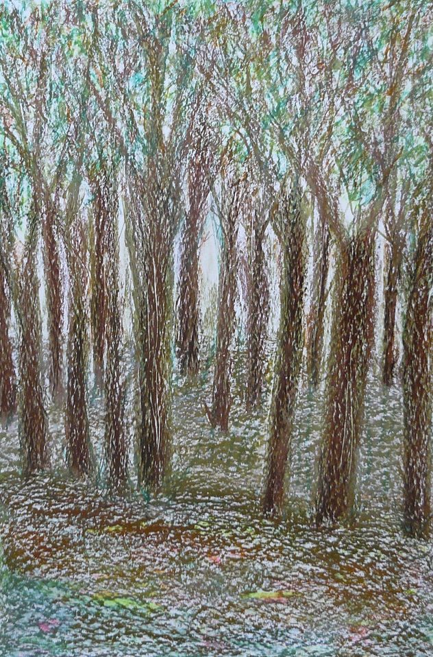 ARBOLES SERRANOS