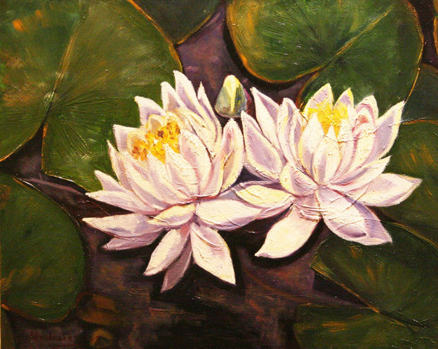 Nenúfares Oil Canvas Floral Painting