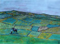 OLIVOS DE JAÉN XIII