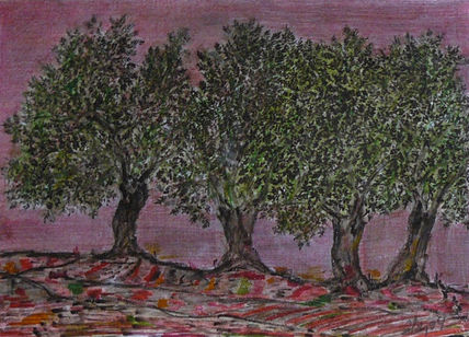 Olivos de jaén xiv