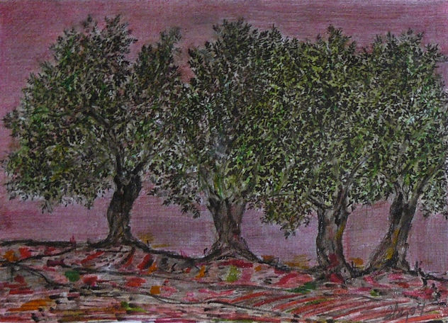 OLIVOS DE JAÉN XIV