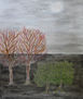 OLIVOS DE JAÉN XV