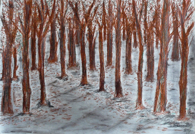 OTOÑO