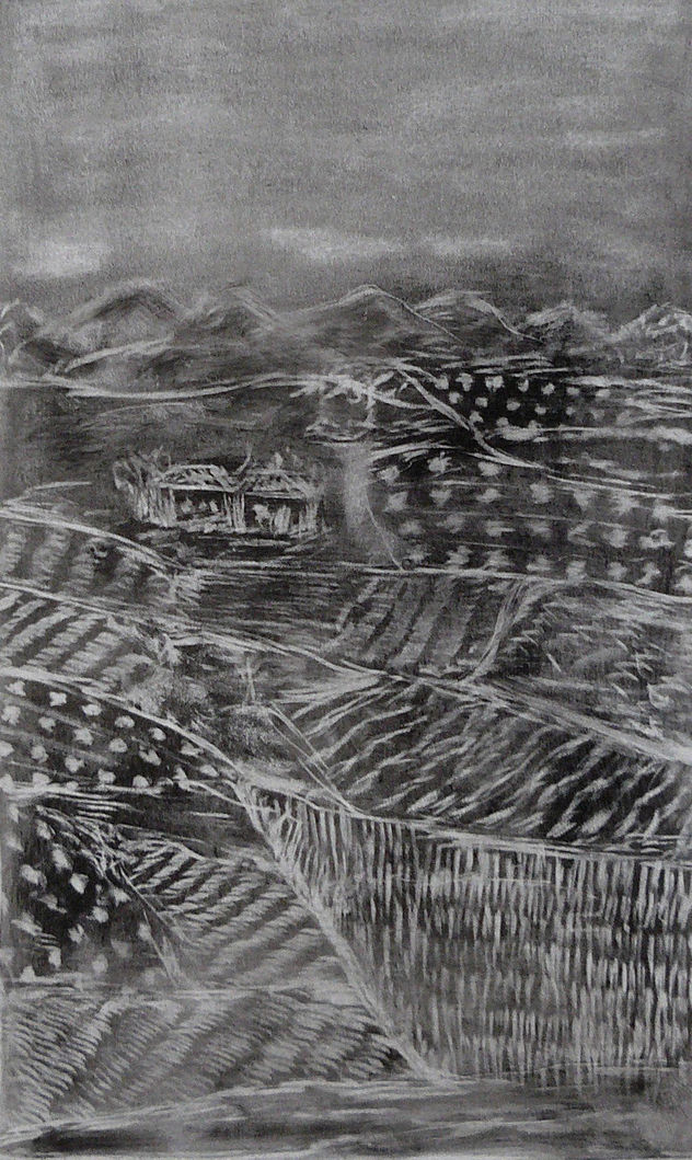 PAISAJE JAERINO