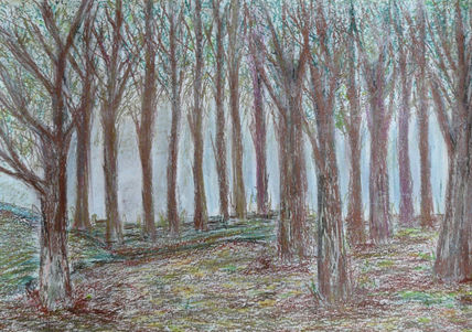 Arboles serranos