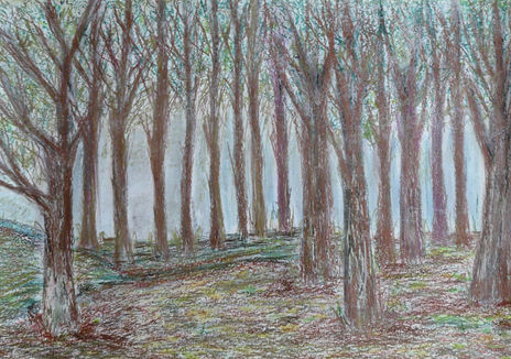 Arboles serranos