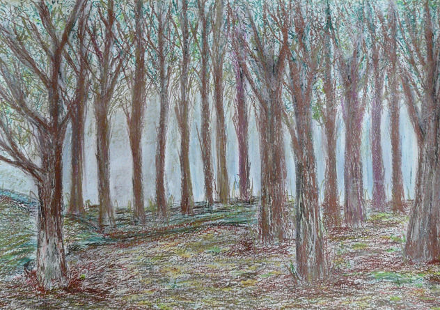 ARBOLES SERRANOS
