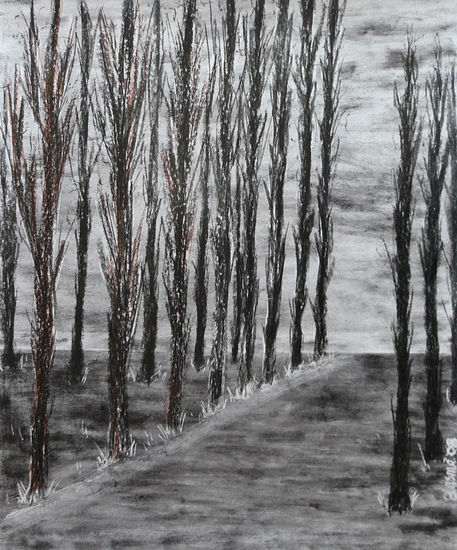 ARBOLES SERRANOS 45 Graphite Card Landscaping