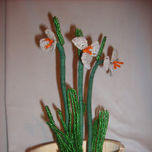 Canalu 2 thumbnail 1