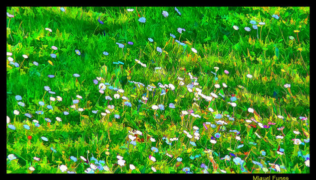 Primavera Nature Color (Digital)